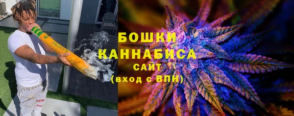 индика Вязьма